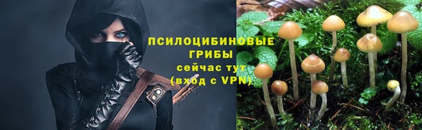 мяу мяу мука Балабаново