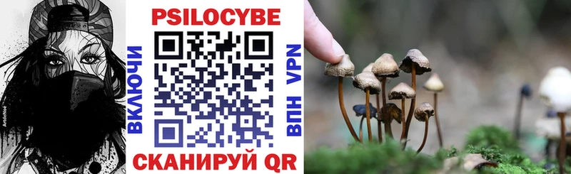 Галлюциногенные грибы Psilocybine cubensis  Горно-Алтайск 